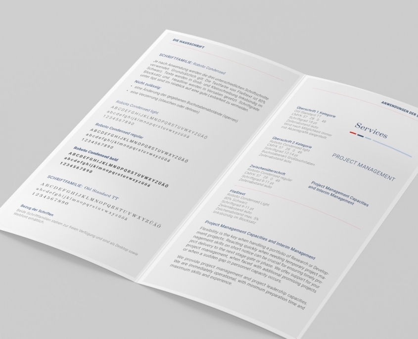 ROOS Consulting Manual Text